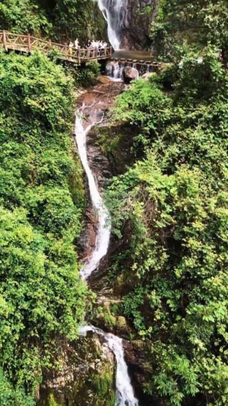 探索怎样在家自制爆米花,尽享知识星球平台魅力